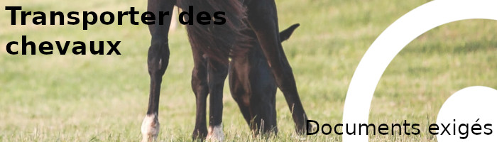 documents transport chevaux